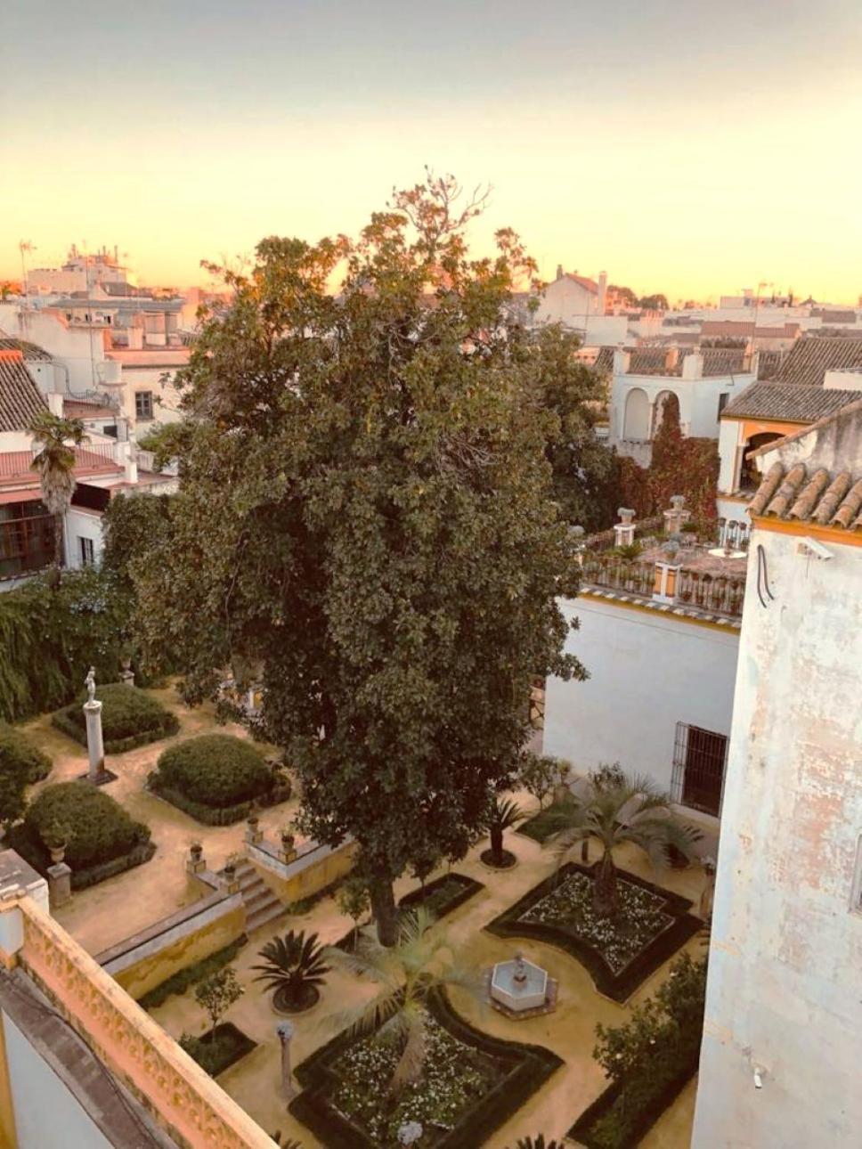 Apartamento Atico Caleria Con Vistas A La Giralda Sevilla Exterior foto